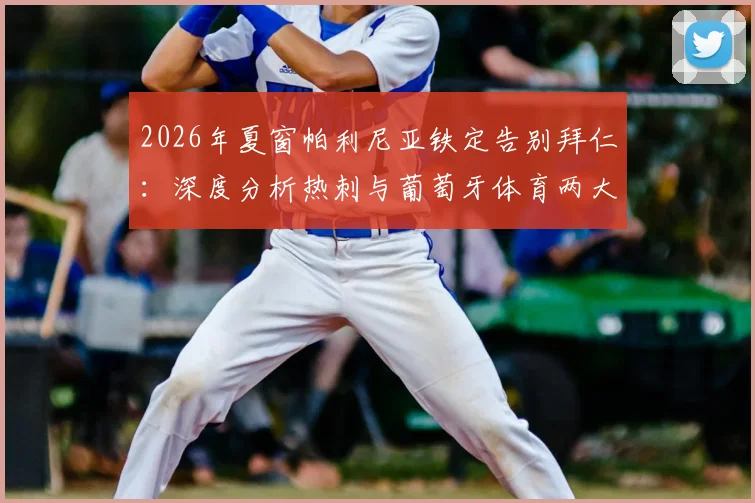 2026年夏窗帕利尼亚铁定告别拜仁:深度分析热刺与葡萄牙体育两大潜在下家的优劣势与转会前景