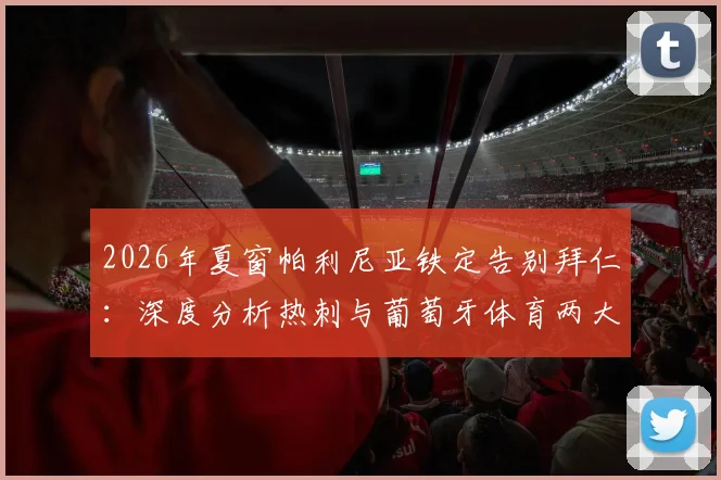 2026年夏窗帕利尼亚铁定告别拜仁:深度分析热刺与葡萄牙体育两大潜在下家的优劣势与转会前景